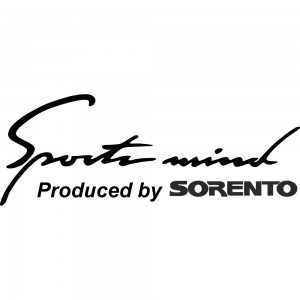 Вінілова наклейка на автомобіль - Sports mind