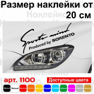 Вінілова наклейка на автомобіль - Sports mind
