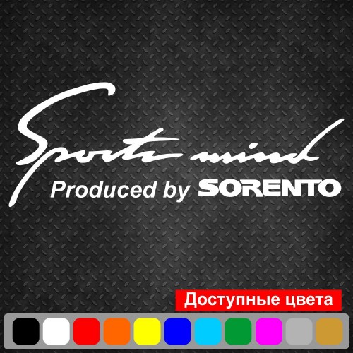 Вінілова наклейка на автомобіль - Sports mind