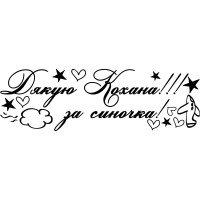 Вінілова наклейка на виписку з пологового будинку - Дякую Кохана! За Синочка!
