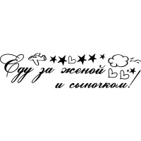 Виниловая наклейка на выписку из роддома - Еду за женой и сыночком!