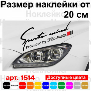 Вінілова наклейка на автомобіль - Sports mind