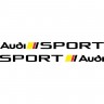 Набор виниловых наклеек на автомобиль - Audi Sport v2 (2 шт.)