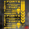 Набір наклейок для мотоцикла, мопеда, скутера у стилі Forte, 40*30 см