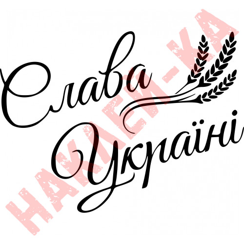 Вінілова наклейка на автомобіль - Слава Україні