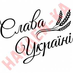 Вінілова наклейка на автомобіль - Слава Україні