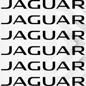 Наклейки на супорти та диски - Jaguar (6 шт.)