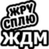 Вінілова наклейка на автомобіль - Жру Сплю ЖДМ (Eat Sleep JDM) Вінілова наклейка на автомобіль - Жру Сплю ЖДМ (Eat Sleep JDM)