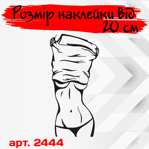 Вінілова наклейка на автомобіль - Дівчина | Girl v7