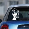 Виниловая наклейка на автомобиль - Девушка | Girl v6 Виниловая наклейка на автомобиль - Девушка | Girl v6
