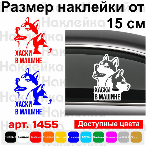 Вінілова наклейка на автомобіль - Хаскі в Машині.