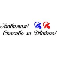 Виниловая наклейка на выписку из роддома - Любимая! Спасибо за двойню!