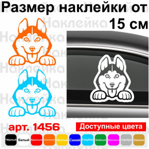 Вінілова наклейка на автомобіль.