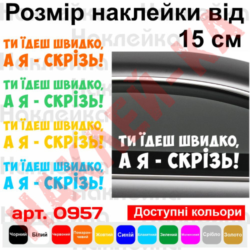 Виниловая наклейка на автомобиль - Ты едешь быстро, а я - везде!