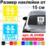Вінілова наклейка на автомобіль - Baby in Car v6