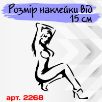 Вінілова наклейка на автомобіль - Дівчина | Girl v5