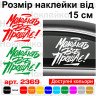 Вінілова наклейка на авто - Молодість все прощає!