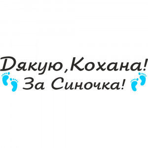 Вінілова наклейка на виписку з пологового будинку - Дякую, Кохано! За Синочка!