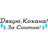 Вінілова наклейка на виписку з пологового будинку - Дякую, Кохано! За Синочка!
