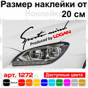 Вінілова наклейка на автомобіль - Sports mind