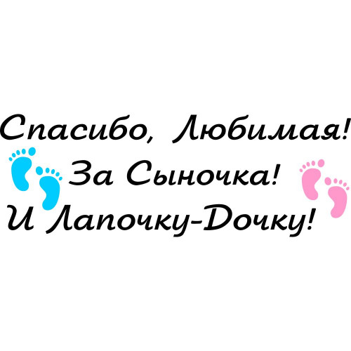 Вінілова наклейка на виписку з пологового будинку - Дякую, Кохана! За Синочка! І Лапочку-Дочку!