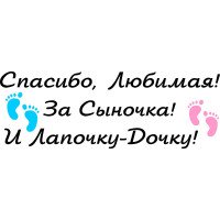 Виниловая наклейка на выписку из роддома - Спасибо, Любимая! За Сыночка! И Лапочку-Дочку!