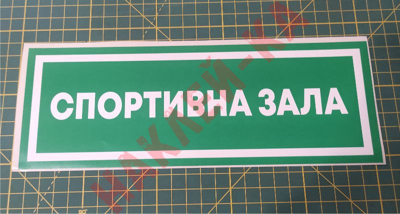 Информационная наклейка на двери - Спортивный зал, размер 25*9см Информационная наклейка на двери - Спортивный зал, размер 25*9см