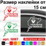 Виниловая наклейка на автомобиль - Renault Nurburgring | Рено Нюрбургринг v2