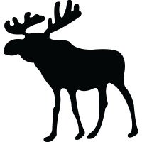 Виниловая наклейка на автомобиль - Лось / Moose