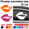 Вінілова наклейка на автомобіль - The kiss of death