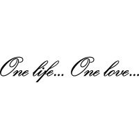 Вінілова наклейка на автомобіль - One life... One love...