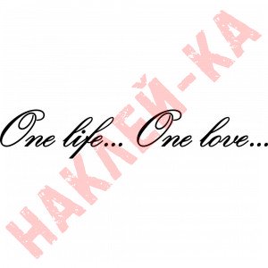Вінілова наклейка на автомобіль - One life... One love...