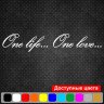Вінілова наклейка на автомобіль - One life... One love...